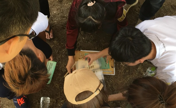 Team Building 活動 | Zandtopia